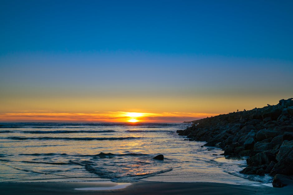 Ảnh lưu trữ miễn phí về ánh sáng mặt trời, Bắc Mỹ, bầu trời màu cam