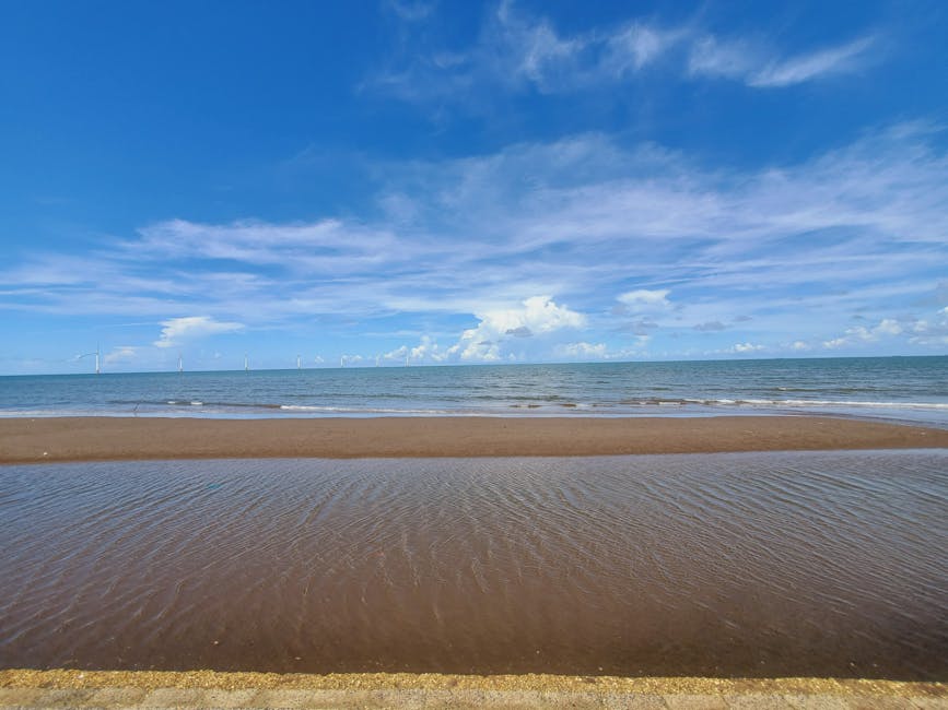 Khung cảnh yên bình ven biển Trường Long Hòa với những tua bin gió dưới bầu trời xanh trong vắt.